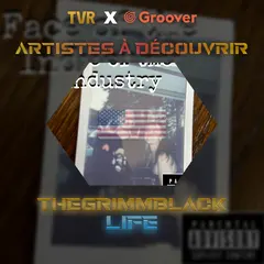 Artiste Groover