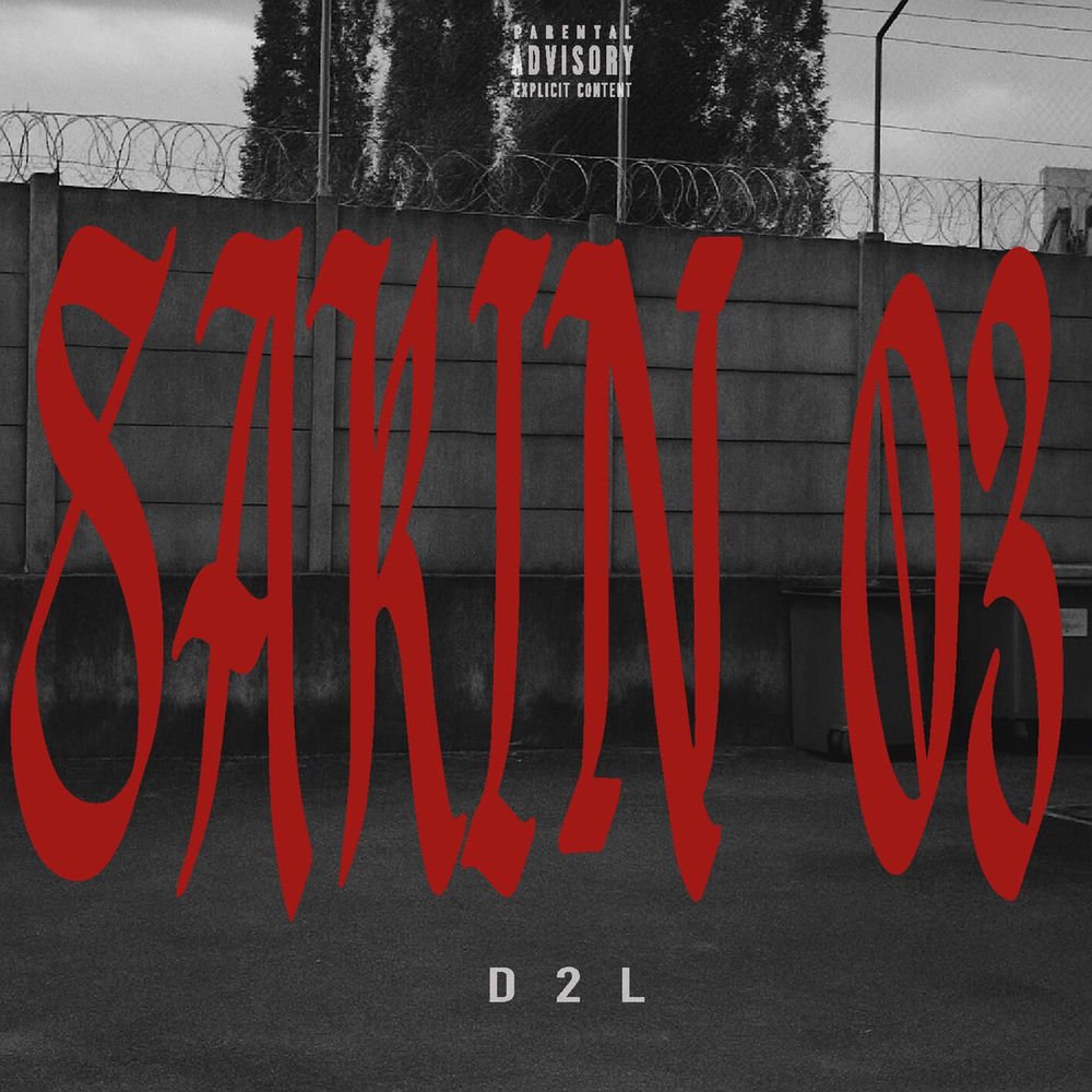 SAKIN 03