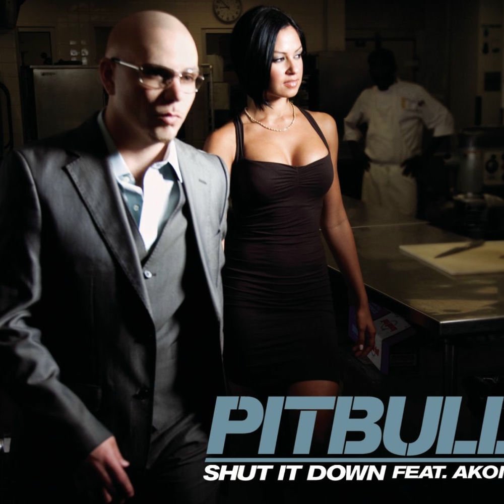 Shut It Down (feat. Akon)